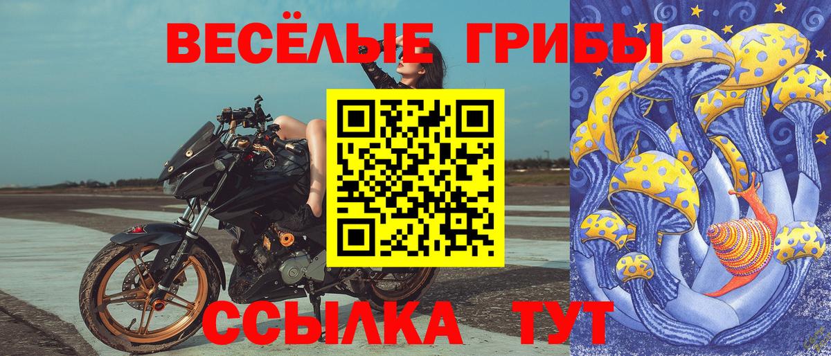 Псилоцибиновые грибы MAGIC MUSHROOMS  Псилоцибиновые грибы GOLDEN TEACHER  Вход с VPN  где купить   Заводоуковск 
